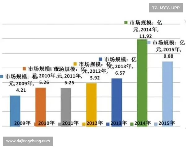 网球赛事赞助品牌影响力分析与市场战略探讨